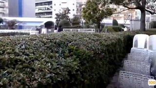 最新成人.海洋日本免费一区香蕉视频,亚洲毛片免费一级,国产在线精品一区亚洲毛片免费一级,国产在线精品一区二区不卡麻豆